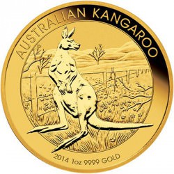 AUSTRALIAN NUGGET 1 oz gold