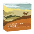 Perth Mint 2 oz silver Australian BRUMBY HORSE 2021 $2 PROOF