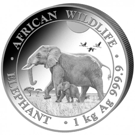 1 kilo SOMALIA ELEPHANT 2021 SHILLINGS 2 000