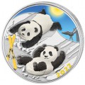 30 GR SILVER PANDA 2022 COLOURED Yuan 10