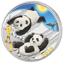 30 GR SILVER PANDA 2022 COLOURED Yuan 10