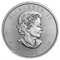 1 oz silver MAPLE LEAF 2021 coloured $5