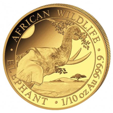 GOLD 1/10 oz ELEPHANT 2022 SOMALIA 100 SHILLINGS