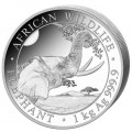 1 kilo SOMALIA ELEPHANT 2022 SHILLINGS 2 000