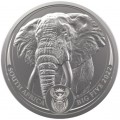 South Africa 1 oz platinum BIG FIVE 2020 ELEPHANT 20 Rand BU