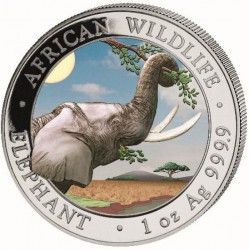 1 oz silver SOMALIA ELEPHANT 2023 Shillings 100 COLOURED