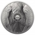 +++ South Africa 1 oz Platinum ELephant 2021 PROOF Box + Coa +++
