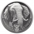 +++ South Africa 1 oz Platinum ELephant 2021 PROOF Box + Coa +++