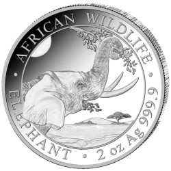 2 oz silver ELEPHANT 2023 Somalia 200 Shillings