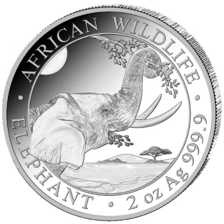 2 oz silver ELEPHANT 2022 Somalia 200 Shillings