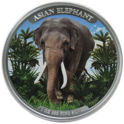 CAMBODIA 3000 RIELS 1 oz silver ELEPHANT 2023 bu COLOURED 3 000 Riels Asia Big Five Series