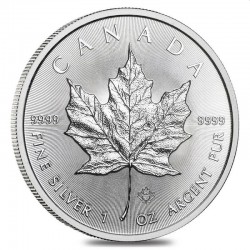 1 oz silver Maple leaf 