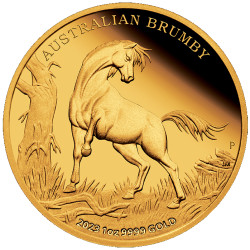+++ Perth Mint Australian Brumby 2023 1oz Gold Proof Coin $100 +++