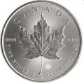 1 oz silver Maple leaf 