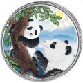 China 30 GR silver PANDA 2021 COLOURED Y10