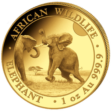 GOLD 1 oz ELEPHANT 2024 SOMALIA 1 000 shillings