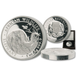 1 oz silver ELephant 2018 High Relief 100 shillings 