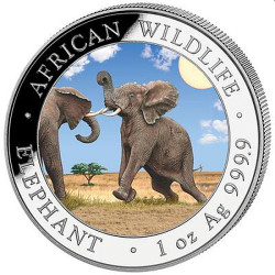 1 oz silver SOMALIA ELEPHANT 2024 Shillings 100 COLOURED