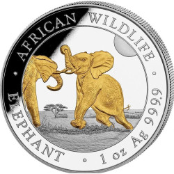 1 oz silver SOMALIA ELEPHANT 2024 Shillings 100 GILDED
