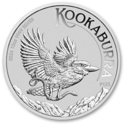 10 oz silver KOOKABURRA 2024