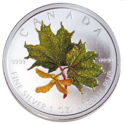 Canada 1 oz silver MAPLE LEAF 2002 $5 bu COLOURED 