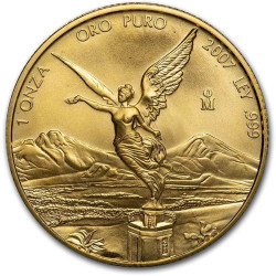 Mexico 1 oz gold LIBERTAD 2007 BU