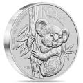 PM 1 KILO KOALA 2023 $30 Australia bu