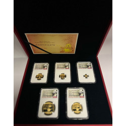 Gold CHINA PANDA 30 GR 2017 BU 500 YUAN NGC MS70 FDI 5 coin set in Box+COA