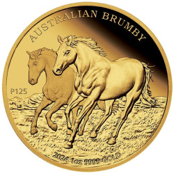 +++ Perth Mint Australian Brumby 2024 1oz Gold Proof Coin $100 +++