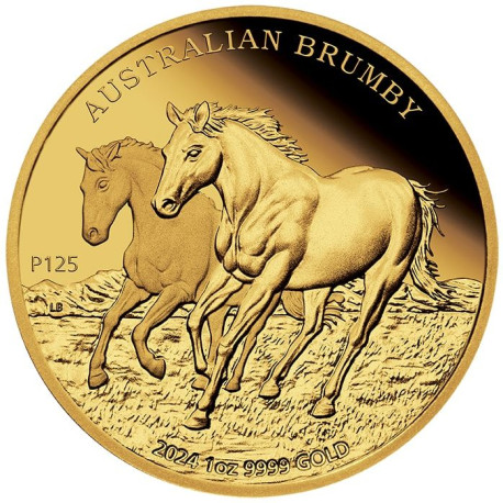 +++ Perth Mint Australian Brumby 2023 1oz Gold Proof Coin $100 +++