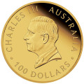 +++ Perth Mint Australian Brumby 2023 1oz Gold Proof Coin $100 +++