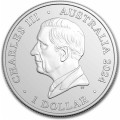 1 oz silver RAM ROUGH-TOOTHED Dolphin 2023 $1 Royal Australian Mint