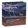 1 oz silver Australian BRUMBY HORSE 2024 $1 bu THUNDER COLOURED 