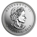 1 oz silver Maple Leaf 2014 Five Blessings