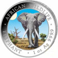 1 oz silver SOMALIA ELEPHANT 2025 Shillings 100