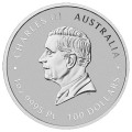 PM PLATINUM 1 oz DRAGON 2024 $100 Australia bu