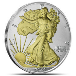 USA 1 oz silver U.S. Silver EAGLE 2024 $1 GILDED BU