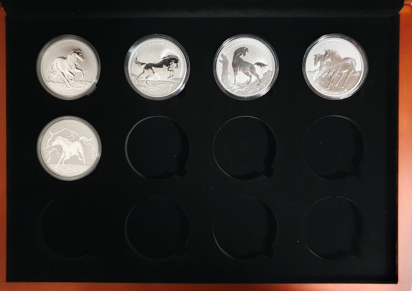 初登場2021最新銀貨2021 1 オンス Australia Brumby 初登場2021最新銀貨2021 1 オンス Australia Brumby 2021