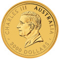 Australian Kangaroo 2025 1 Kilo Gold Bullion Coin