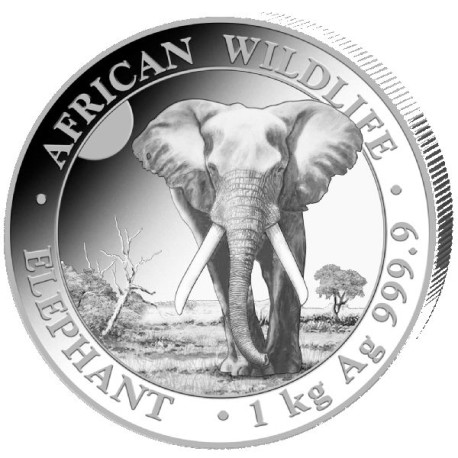 1 kilo SOMALIA ELEPHANT 2024 SHILLINGS 2 000 bu