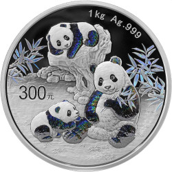 China 1 kilo silver PANDA 2024 Yuan 300 Proof 