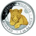 1 oz silver SOMALIA LEOPARD 2025 - COLOURED 100 shillings 