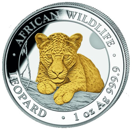 1 oz silver SOMALIA LEOPARD 2025 - COLOURED 100 shillings 