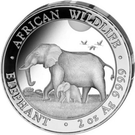 2 oz silver ELEPHANT 2022 Somalia 200 Shillings