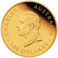 +++ Perth Mint Australian Brumby 2024 1oz Gold Proof Coin $100 +++