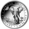 2 oz silver ELEPHANT 2024 Somalia 200 Shillings