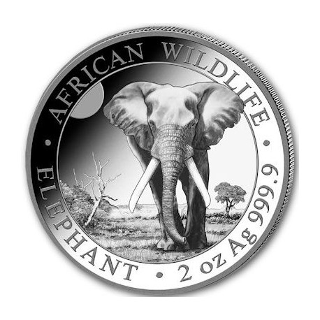 2 oz silver ELEPHANT 2024 Somalia 200 Shillings