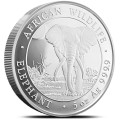5 oz silver ELEPHANT 2024 Somalia 500 Shillings