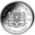 1 kilo silver SOMALIA LEOPARD 2024 Shillings 2 000