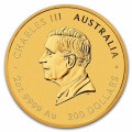 PM Lunar 3 SNAKE 2 oz GOLD 2025 BU $200 Australia